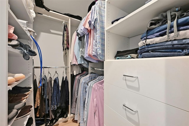 7103 Daugherty St, Austin, TX 78757 - view of walk in closet