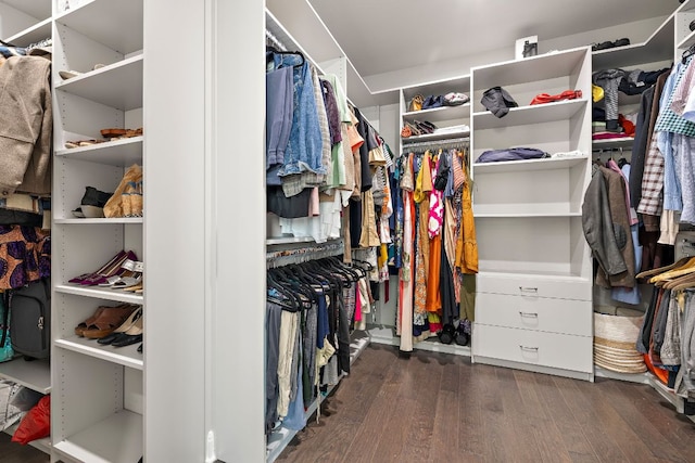 800 Kenney Fort Xing, Round Rock, TX 78665 - walk in closet with wood finished floors