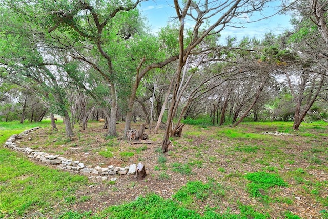 9854 N Weir Loop Cir, Austin, TX 78736 - view of yard