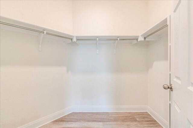 walk in closet featuring light wood-type flooring