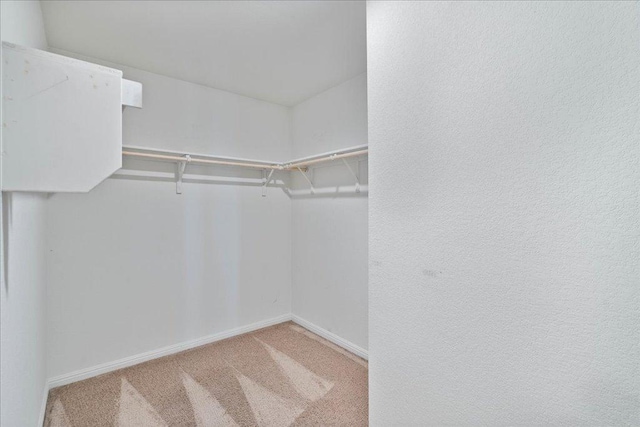 walk in closet featuring carpet