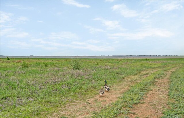 view of landscape featuring a rural view