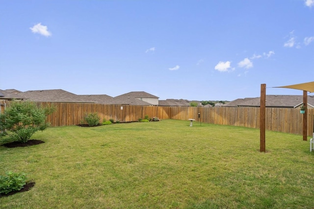 19216 Bear Grass Dr, Elgin, TX 78621 - view of yard