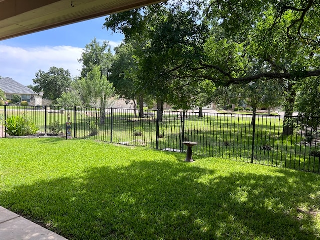 1005 Fort Davis St, Georgetown, TX 78633 - view of yard