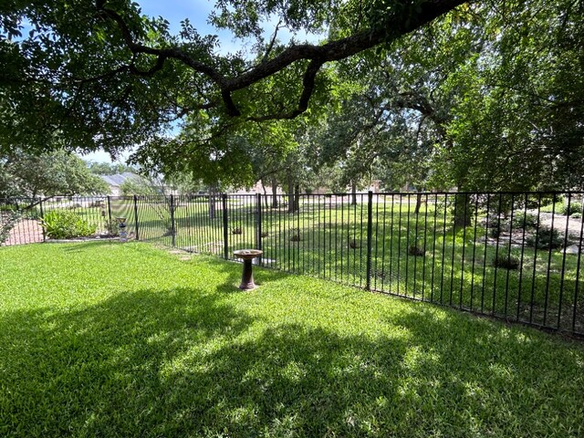 1005 Fort Davis St, Georgetown, TX 78633 - view of yard
