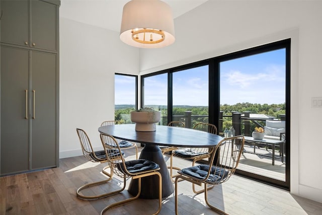 5914 Cape Coral Dr, Austin, TX 78746 - dining room featuring wood finished floors and healthy amount of natural light