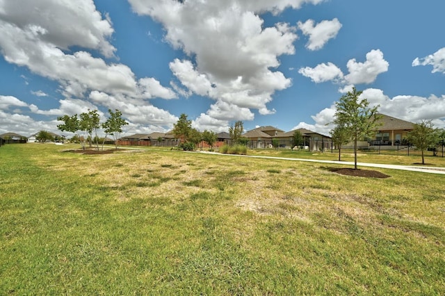 155 Lyndon Dr, San Marcos, TX 78666 - view of yard