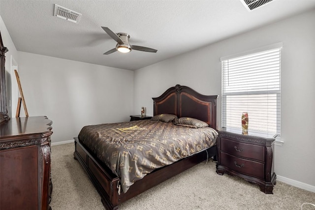 119 Stellamar Dr, Hutto, TX 78634 - photo 32