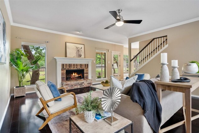living room featuring ornamental molding, dark wood-style flooring, a fireplace, baseboards, and a ceiling fan