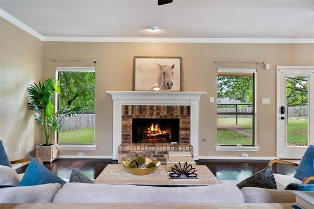 living room with wood finished floors, a healthy amount of sunlight, and a fireplace