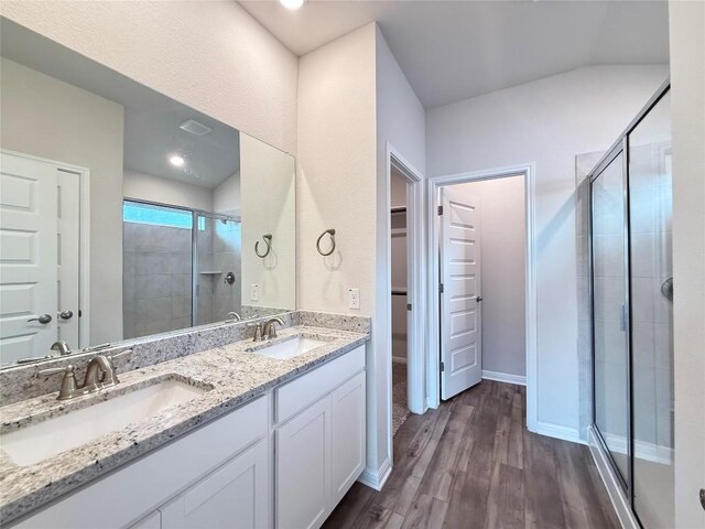 bathroom featuring a sink, a shower stall, and a spacious closet