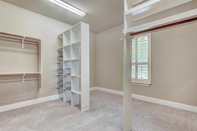 423 Bella Montagna Cir, Austin, TX 78734 - spacious closet featuring carpet flooring