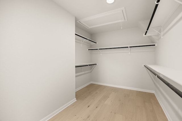 2813 Hopi Path Unit 11, Georgetown, TX 78628 - spacious closet featuring attic access and light wood-type flooring
