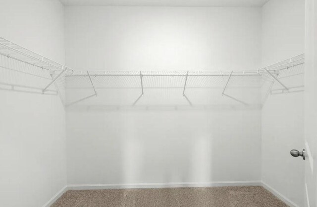 spacious closet with carpet flooring