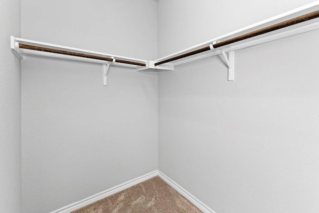 316 Ancellotta Way, Leander, TX 78641 - walk in closet featuring carpet