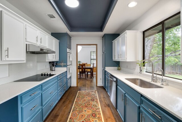 kitchen featuring a sink, under cabinet range hood, blue cabinetry, and dishwasher