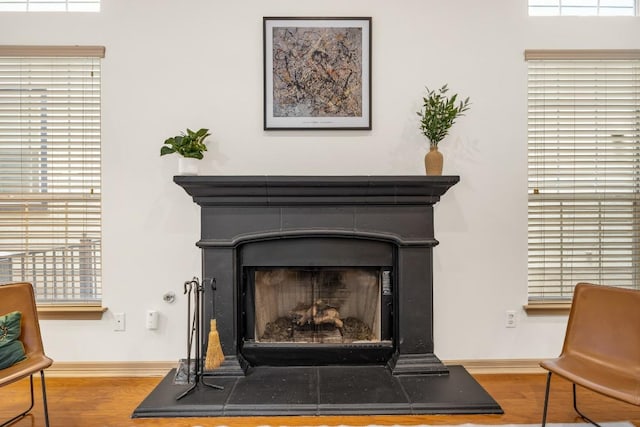 details featuring baseboards, wood finished floors, and a fireplace