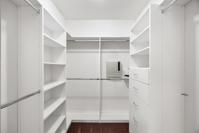 spacious closet featuring carpet flooring