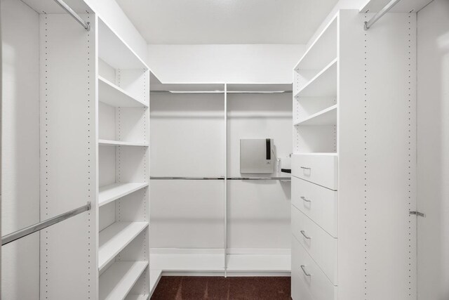 6704 Menchaca Rd Unit 43, Austin, TX 78745 - walk in closet with carpet flooring