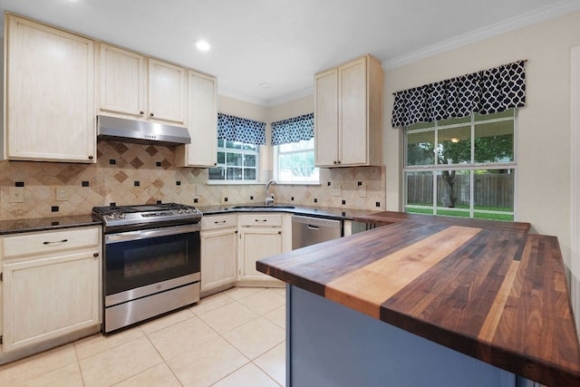 1809 Woodland Dr, Cedar Park, TX 78613 - kitchen with ornamental molding, under cabinet range hood, a sink, wood counters, and appliances with stainless steel finishes