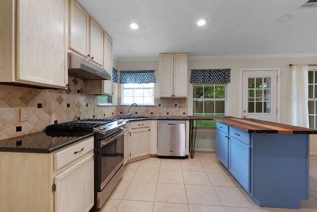1809 Woodland Dr, Cedar Park, TX 78613 - kitchen featuring under cabinet range hood, stainless steel appliances, wood counters, and crown molding