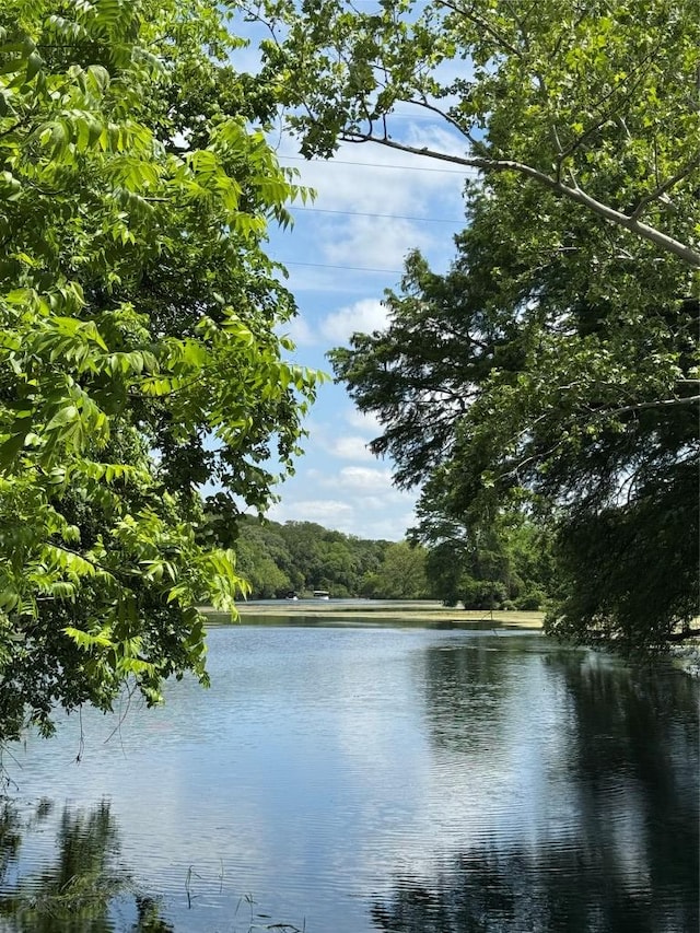 view of water feature featuring a wooded view