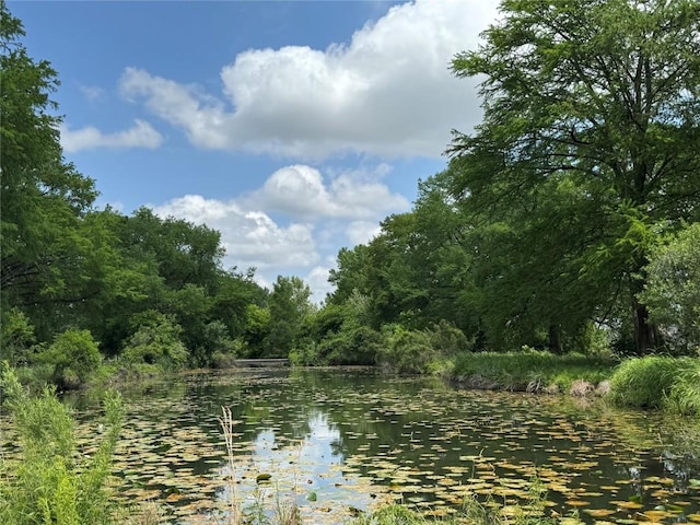 property view of water with a forest view