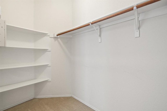 407 N Lori Cir, Bastrop, TX 78602 - spacious closet with light carpet