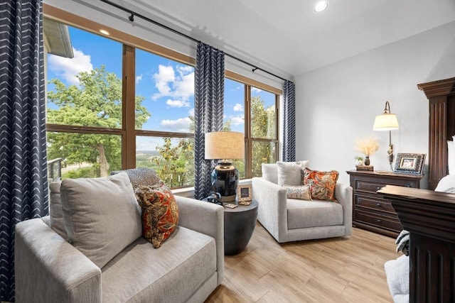 741 Faith Dr, Liberty Hill, TX 78642 - living area with light wood-style flooring and recessed lighting