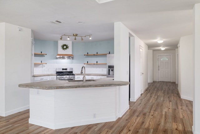 3339 Alexander Valley Cv, Round Rock, TX 78665 - kitchen with stainless steel appliances, open shelves, tasteful backsplash, and light wood finished floors