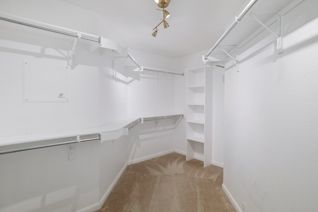 3339 Alexander Valley Cv, Round Rock, TX 78665 - spacious closet featuring carpet