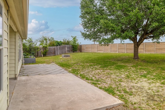 3339 Alexander Valley Cv, Round Rock, TX 78665 - fenced backyard featuring a patio area