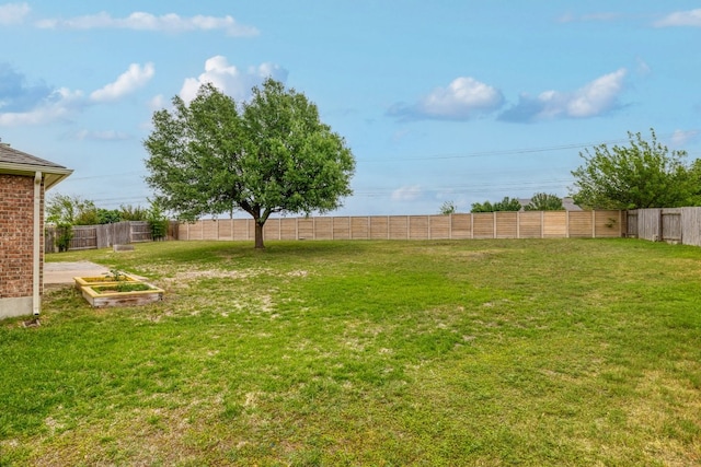 3339 Alexander Valley Cv, Round Rock, TX 78665 - fenced backyard featuring a vegetable garden