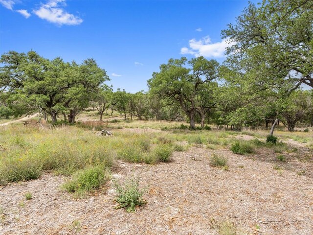 504/506 Oak Grove Rd, San Marcos, TX 78666 - photo 5
