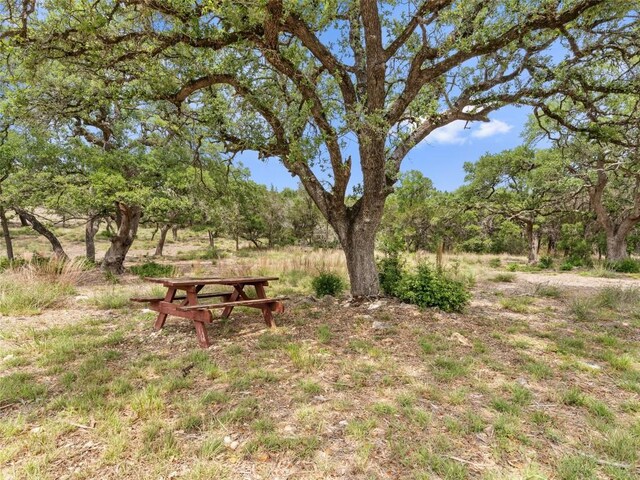 504/506 Oak Grove Rd, San Marcos, TX 78666 - photo 6