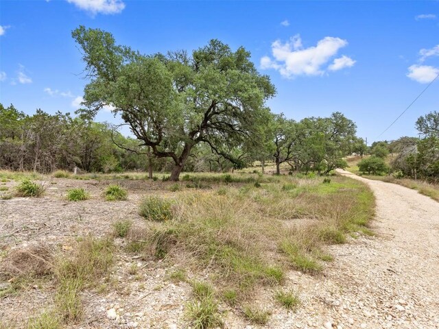 504/506 Oak Grove Rd, San Marcos, TX 78666 - photo 4