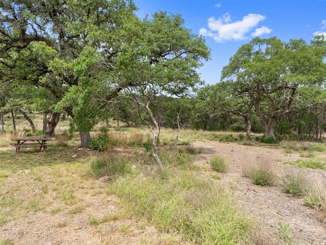 504/506 Oak Grove Rd, San Marcos, TX 78666 - photo 30