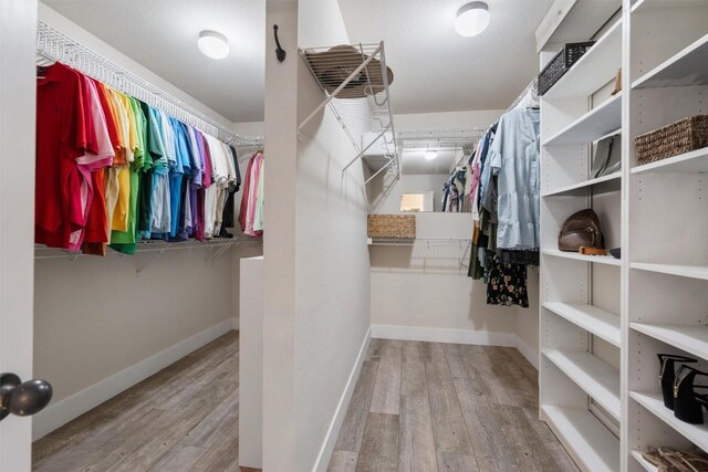 spacious closet featuring wood finished floors