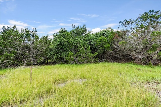 133 Kriders Cv, Austin, TX 78737 - photo 1