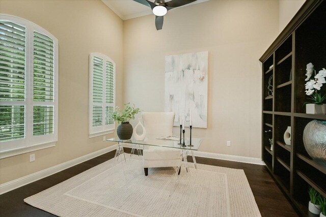 2421 Parisio Ct, Leander, TX 78641 - home office featuring baseboards, a ceiling fan, dark wood-style flooring, and a healthy amount of sunlight