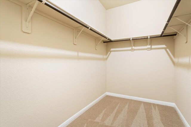 walk in closet with light colored carpet