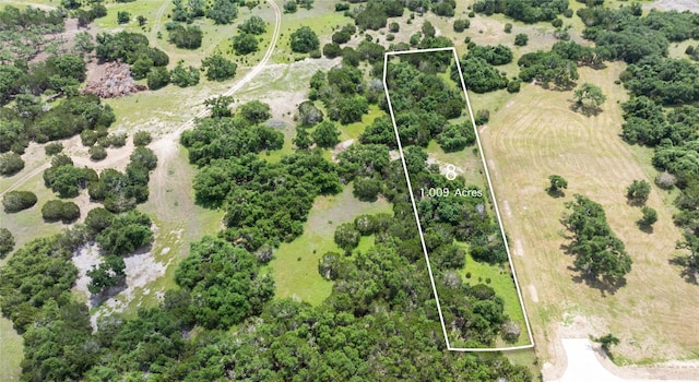 14455 Evergreen Way, Austin, TX 78737 - photo 3