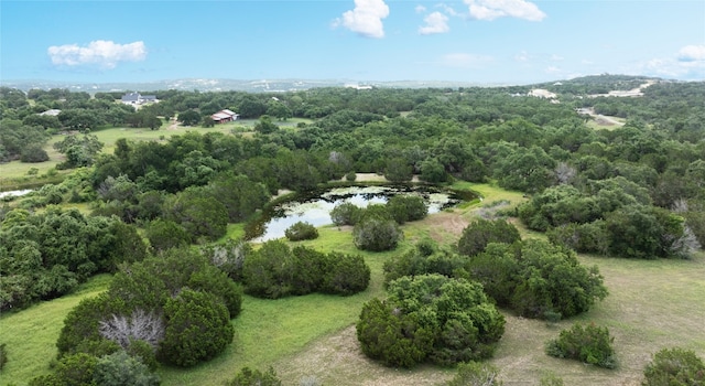 14455 Evergreen Way, Austin, TX 78737 - photo 4