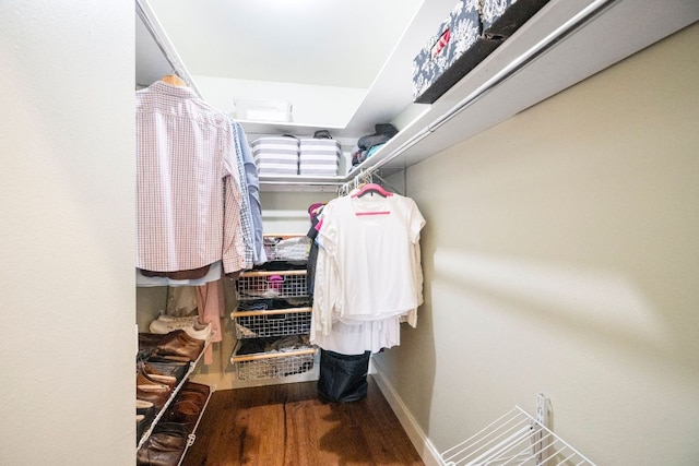 2100 Four Oaks Ln, Austin, TX 78704 - walk in closet with wood finished floors