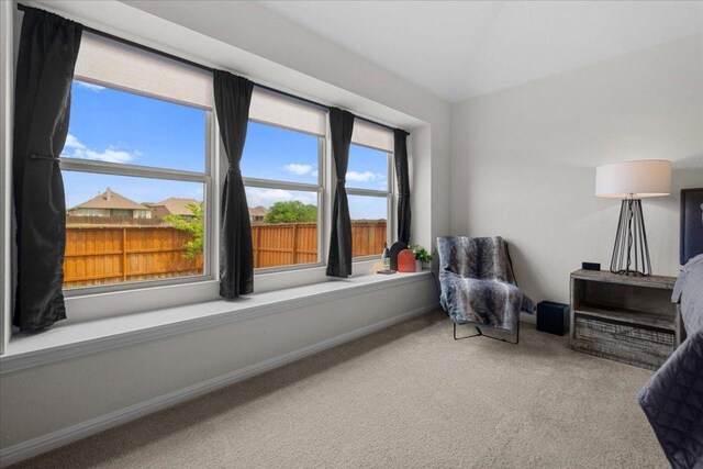 living area with carpet flooring, baseboards, and plenty of natural light