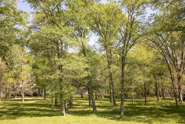 3477 Bradley Ln, Brenham, TX 77833 - view of property's community featuring a lawn