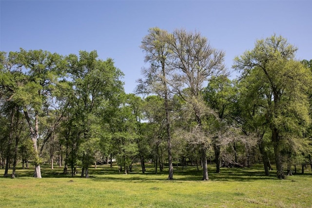 3477 Bradley Ln, Brenham, TX 77833 - surrounding community with a yard
