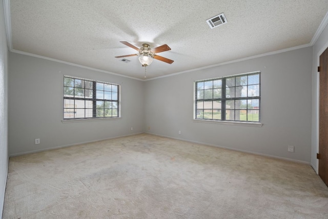 3909 Alderwood Ln, Temple, TX 76502 - spare room with crown molding, plenty of natural light, ceiling fan, carpet, and a textured ceiling