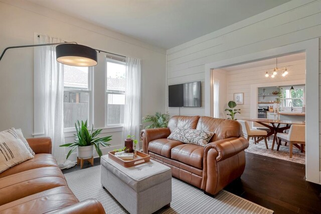 living area with wooden walls, dark wood-style floors, and a healthy amount of sunlight