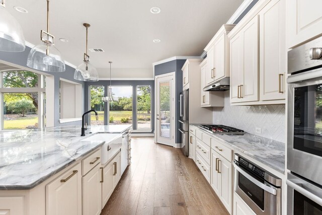 kitchen with appliances with stainless steel finishes, a sink, tasteful backsplash, under cabinet range hood, and hardwood / wood-style flooring